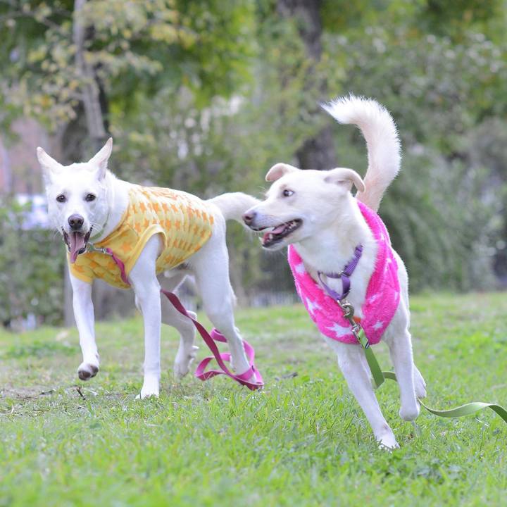 30163e24 1dc8 4a57 9349 179178877bd1