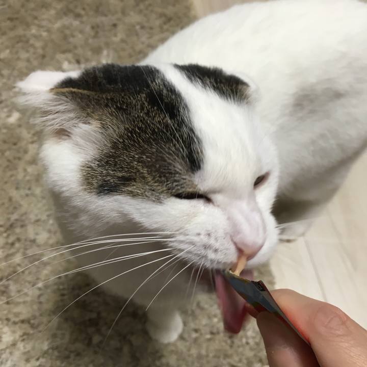 3016b7bc 459d 4a67 abc6 1b31d1b2e979