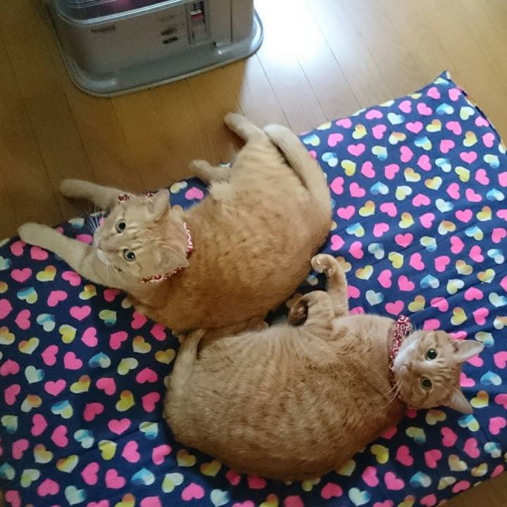 30175bb7 9ee2 4348 bf9b 5e36fcd9c6d5