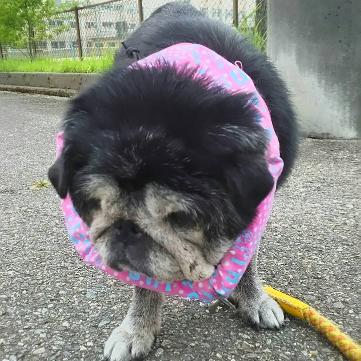 3017621c 5740 4023 aaec d18ed80f6479