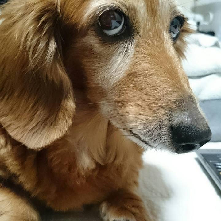 30176f10 283d 4e68 b20a a1e11eebff5b