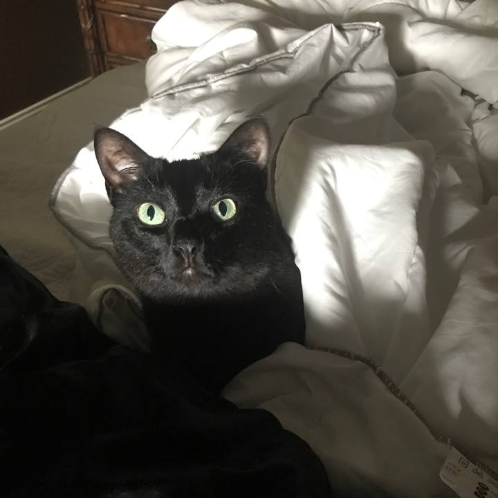 30177914 25be 4989 9cfd 64bb30a5470c