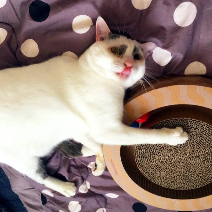 30181998 5a65 4daa b6a5 8a35a78a3089