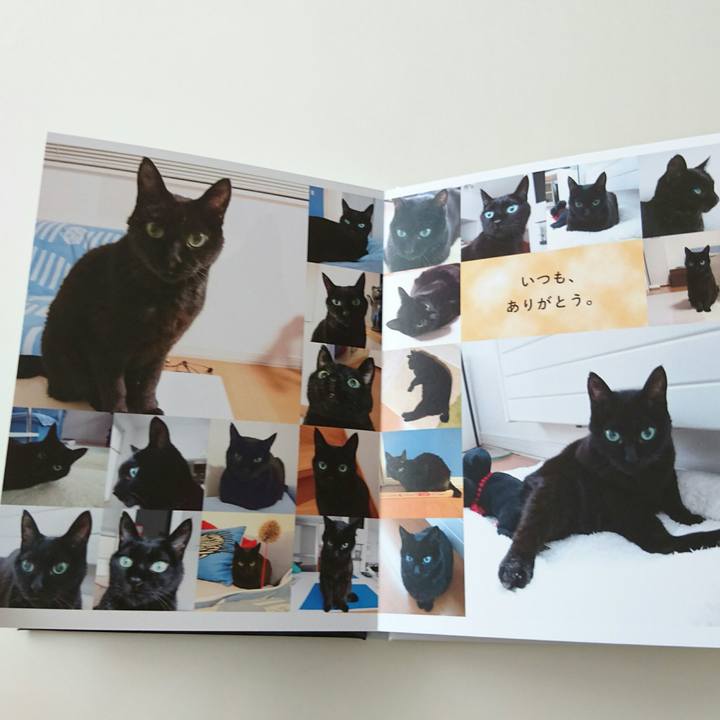 30181a31 1ea3 46ef a371 b46841bedfc4