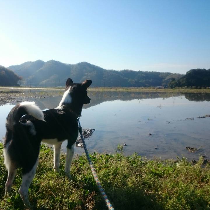 301825db 72eb 456e 8e20 b2e67229f242