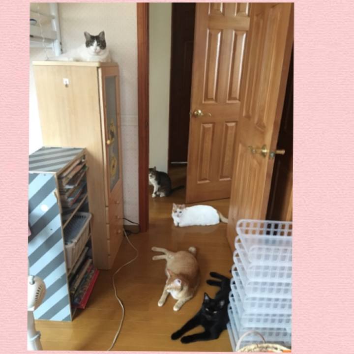 30185f0d 67bc 4d43 9034 d9d770ae84da