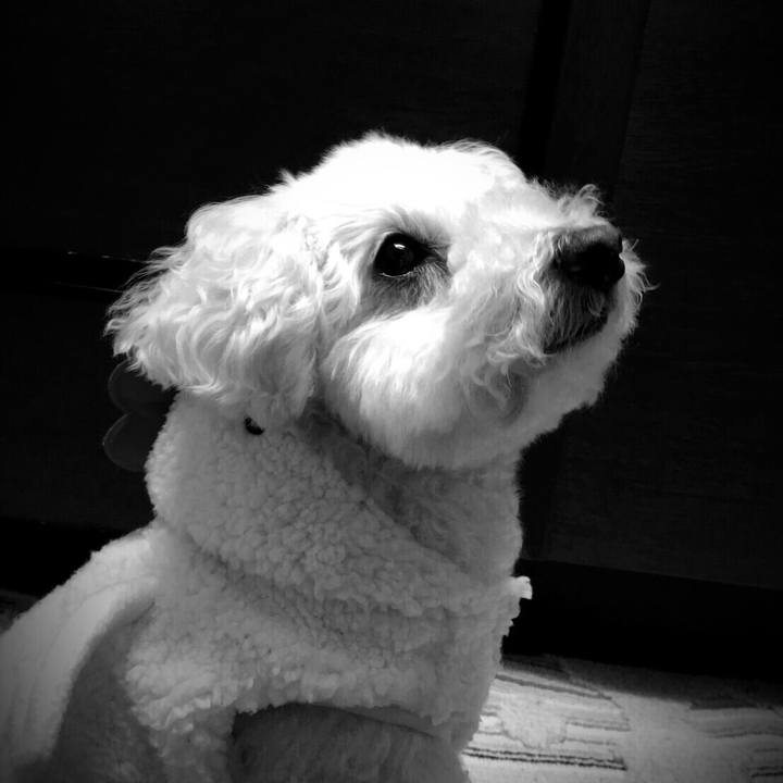 301886f1 37dc 4290 aadc ca0724ee4cda