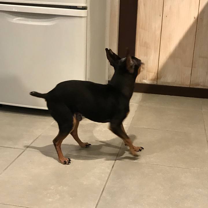 3018dcaa 6773 4854 b770 ae2ee505d515