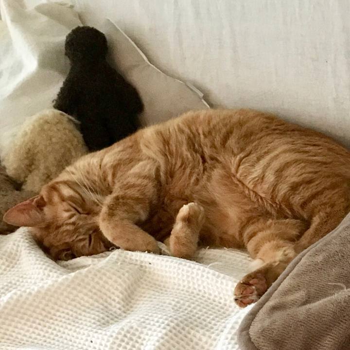 3018f3f2 51f5 4293 9d2b b2de41d93434