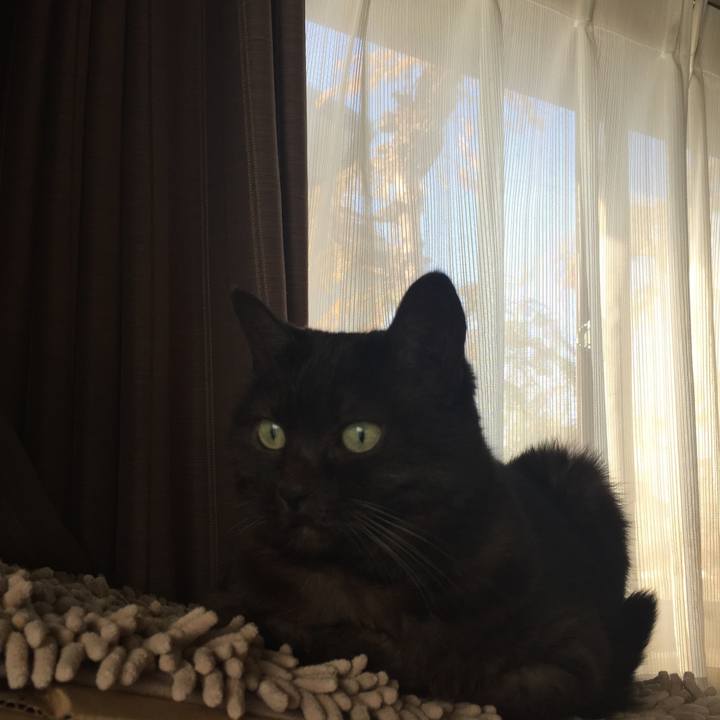 301ab3f3 1c2e 43d1 a3a9 a789576cd2d4