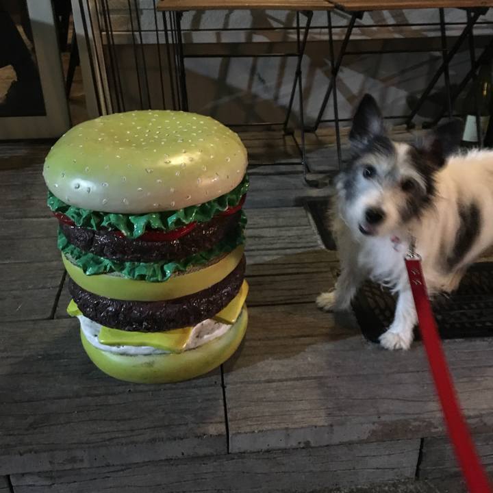 301ac056 0579 4a3a 8ec4 9965c6953642