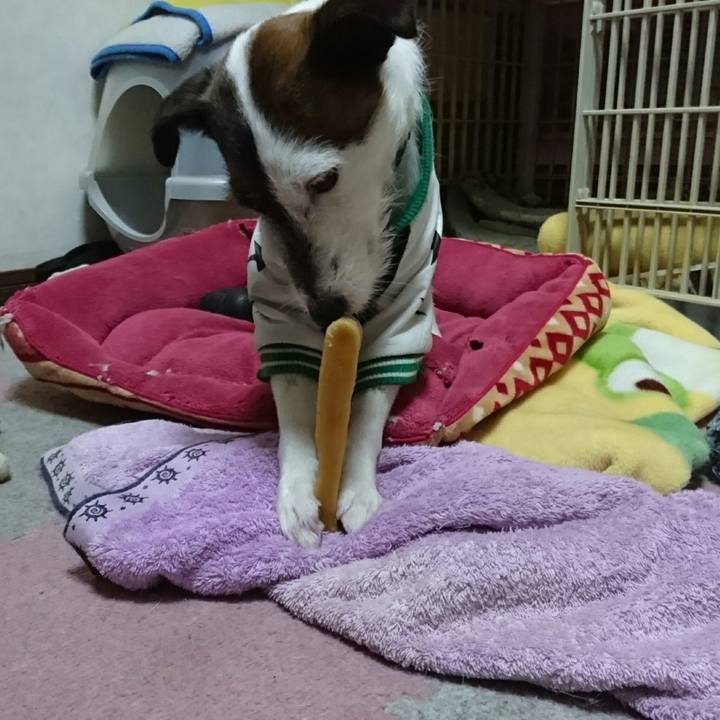 301ae6c9 3d49 4a03 b09e 22d60f00432e