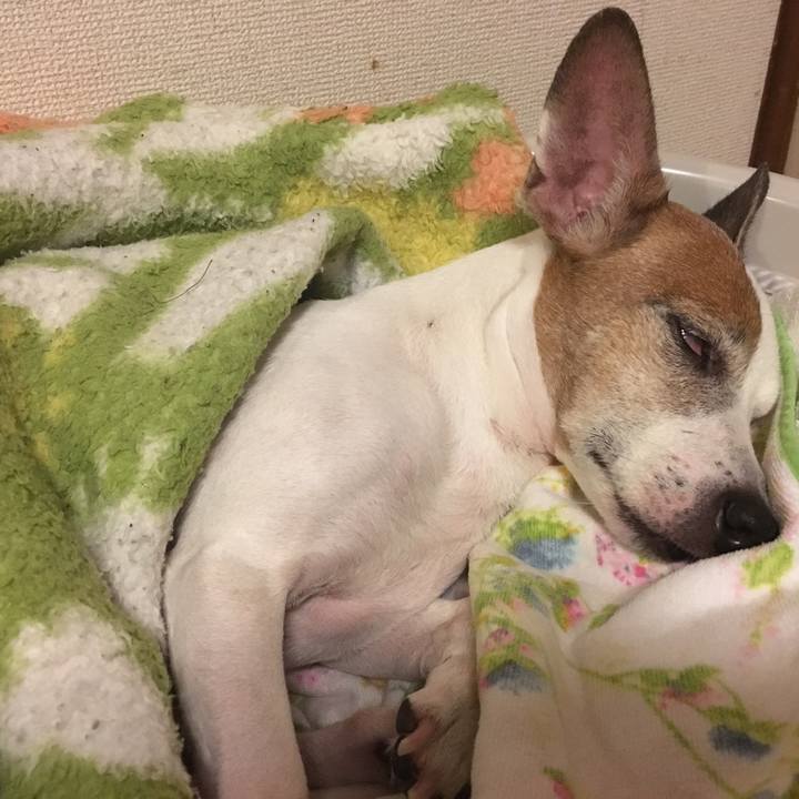 301bcfb2 2a0d 4674 abde b39f945b4001