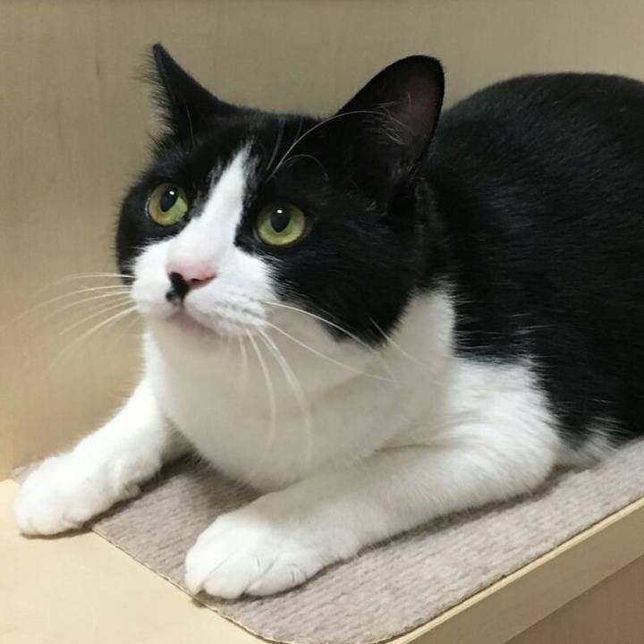 301bdca2 ba3f 4c56 8e9f 458ccd3b749a