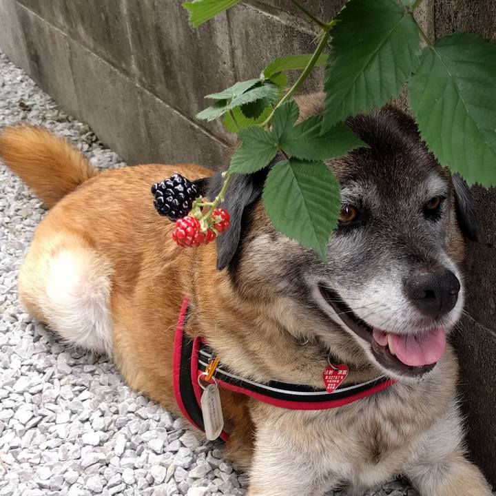 301c369b 0abe 4e1b ab24 8611468155d1