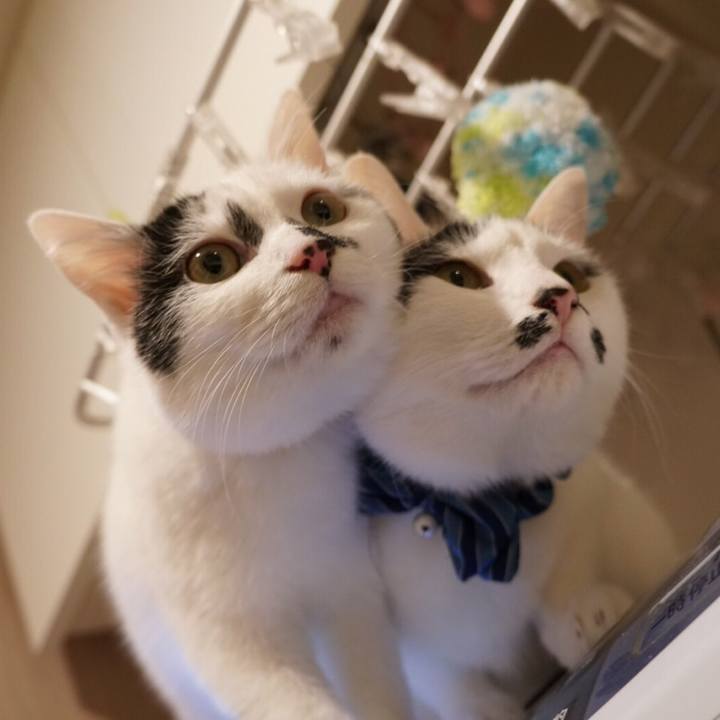 301c40b8 dc22 4d36 8235 92a4a0df3123