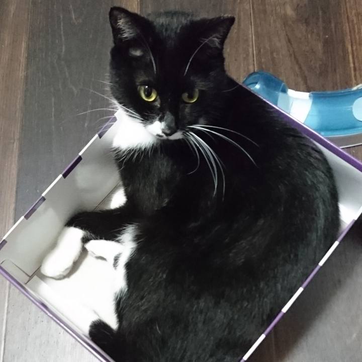 301c8cb7 65d8 42f0 b0f7 e5aa05e27b3f