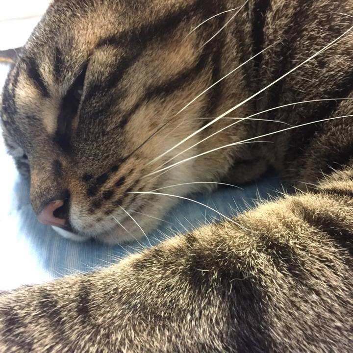 301d4341 66fb 4d1d 9fb9 5c7426287928