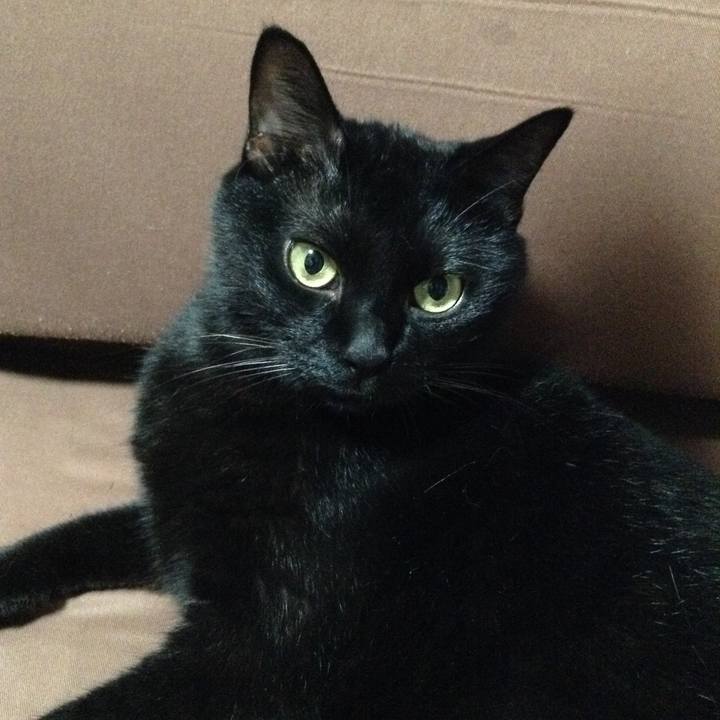 301d6ae5 ac46 405a 98df 4d8b8e106e23