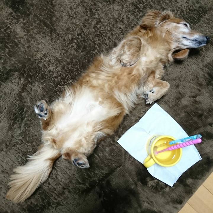 301d8391 79e6 48ed 8dac 7bf5a331d484