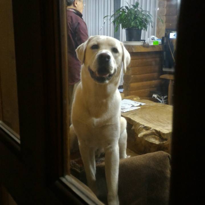 301d9061 7cba 4d20 9624 f29069f3f0db