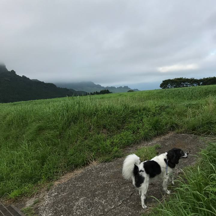 301ece88 6c10 4b6c 98c0 aae7fa6fb4ff