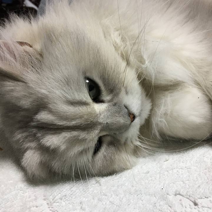 301f9f3a c39b 47f6 8ccd 85f019d5c0e5