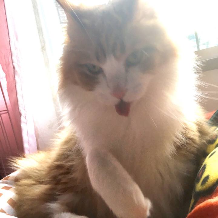 301fc81f 8b64 448f 896c c08e40d109ca