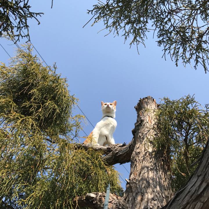 301fcb48 f716 4100 b676 5fd4fc780771