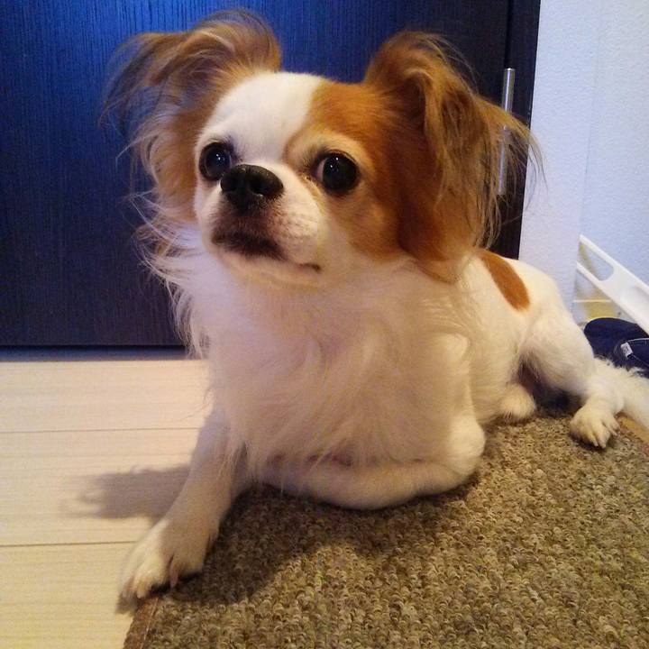 3021dd95 c503 474d b502 4d3c815c719a