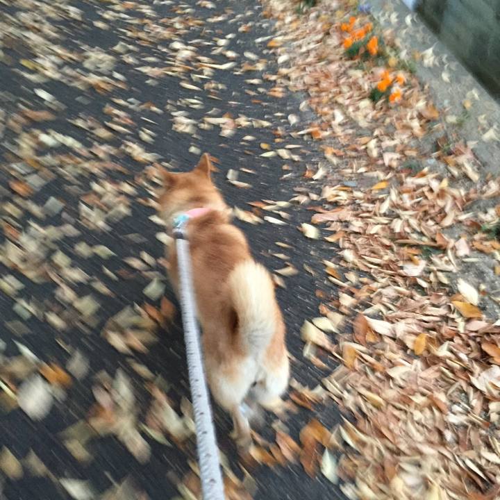 30227843 ac4b 4afa 9842 0c2a06f76e41