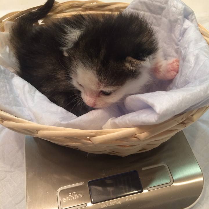 3022d209 46e9 4fc1 8924 aa8fe08f7c9f