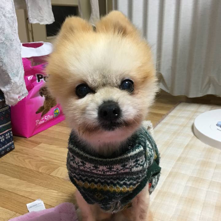 30235e02 93f4 4a9a 8e15 125d0349dd4d