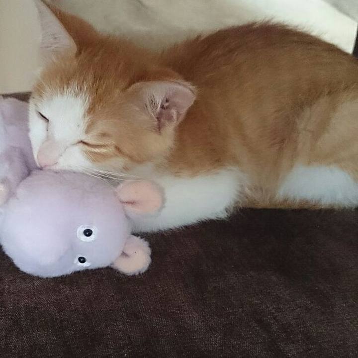 302373a9 49a8 4cfe 9aee 7d8b13748615