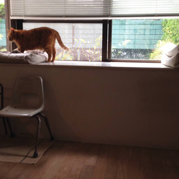 30238882 f13d 4e4c 9a19 88ef6cc75c27