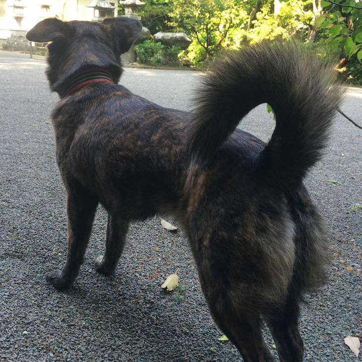 3024724b e991 43ec a131 58a5ac6d678b