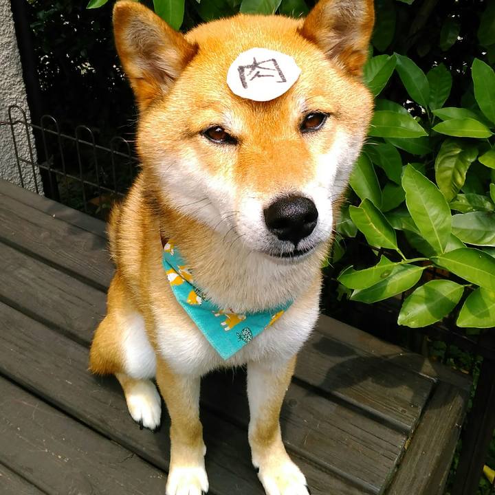 30249bb6 c4bf 4254 92b4 d0d3cca957ad