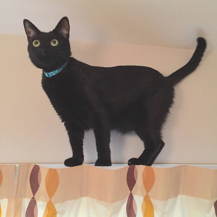 302538ab abf9 4098 8d2f 1f4346f87680