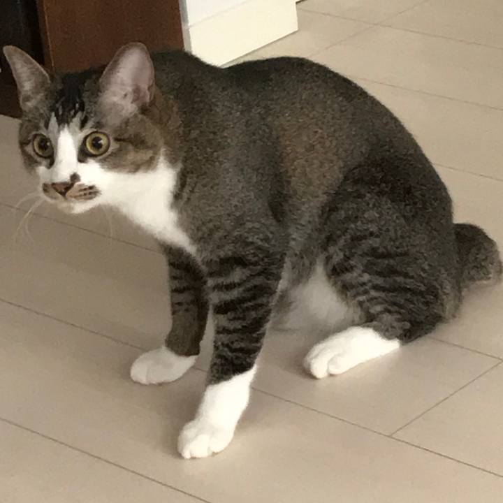 3025feeb 0ee7 4369 a733 a1ba3cd7aead