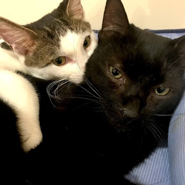 3026c1ce fb8c 40d8 88bb 6c617a7f2d23