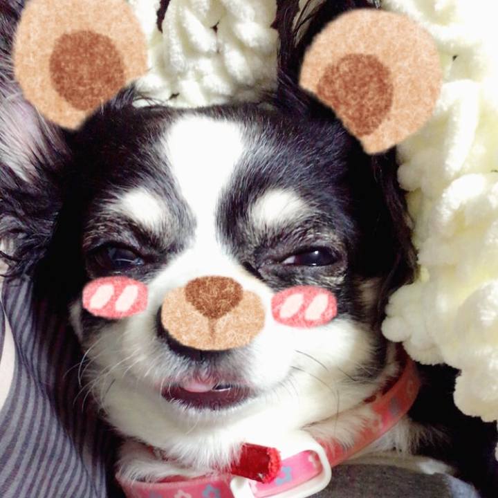 3026f2c3 ea87 4e85 970b 5c3c47fa7ade