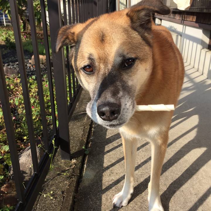 3028ff6c 07be 4607 9cbd 606405b2c4f5