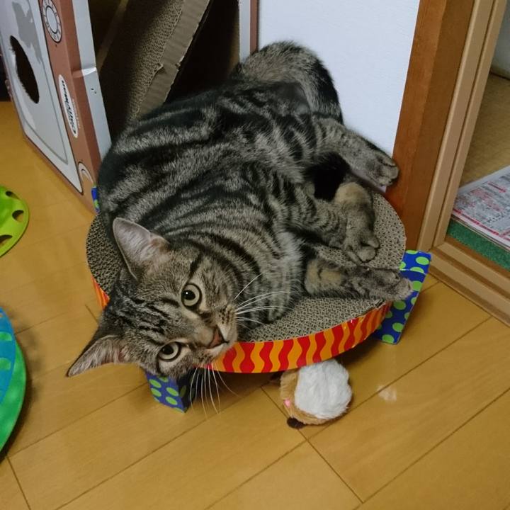 3029574b d283 4d3f 97db 6803b4aa142f