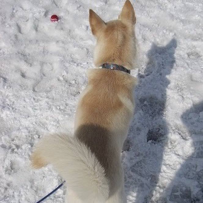 302a4ada f144 4ab8 96d7 31369e45d93b