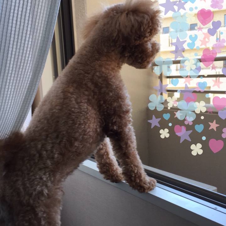 302aad72 b610 41cc ad6d d885ef65042d