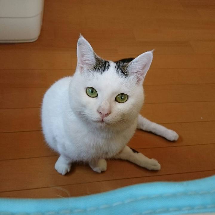 302abc40 a575 4c5a 91a6 7dd122e8b5be