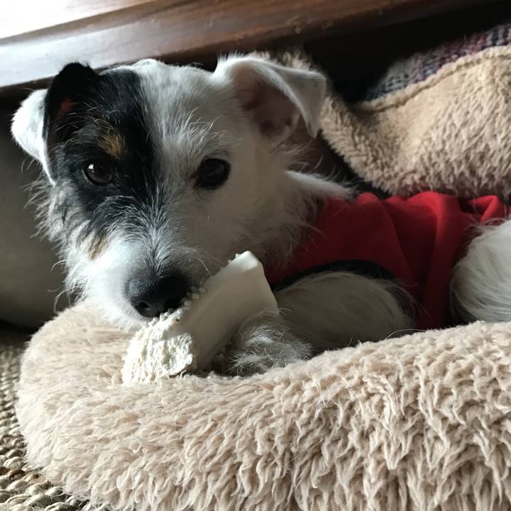 302abebb d0f0 4138 b7d4 a4ee261b6c30