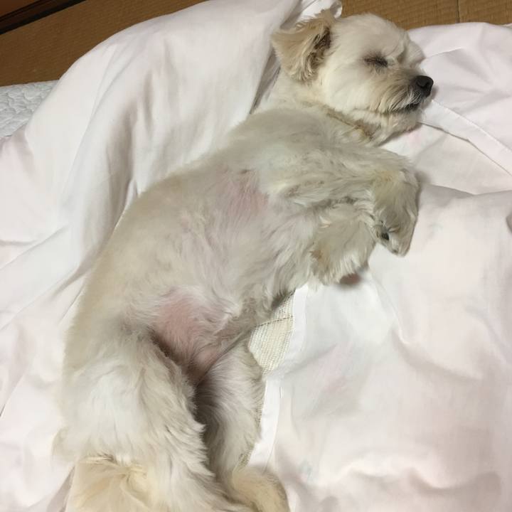 302c03d1 ab1b 4c51 8fe3 776155ab6a27