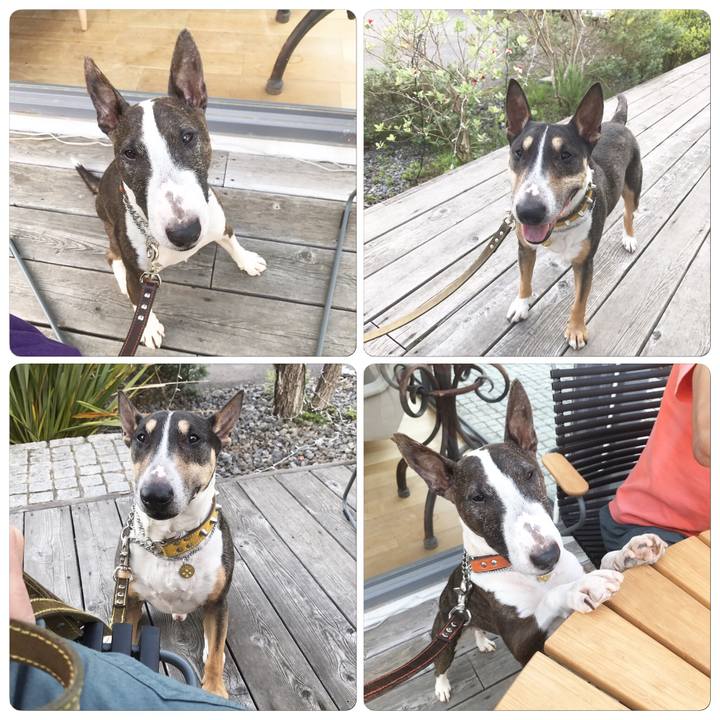 302c6024 79bf 4271 afac 89c6eb0c68d6