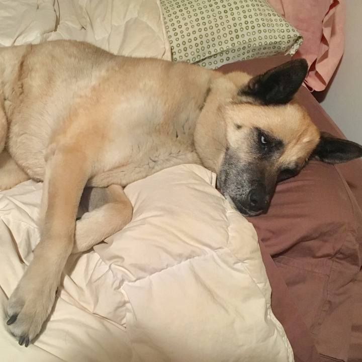 302cd895 75a6 4748 aebe 545c78d84bdf